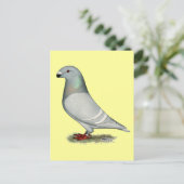 Carte Postale Afficher le concept Racer (Debout devant)