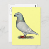 Carte Postale Afficher le concept Racer (Devant / Derrière)