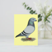 Carte Postale Afficher le concept Racer (Debout devant)