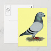 Carte Postale Afficher le concept Racer (Devant / Derrière)