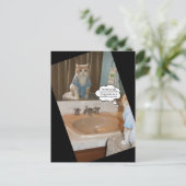 Carte Postale Affirmation drôle de chat (Debout devant)