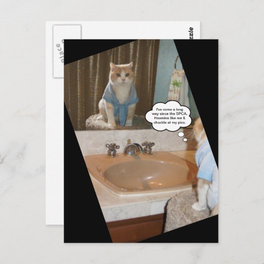 Carte Postale Affirmation drôle de chat (Devant / Derrière)