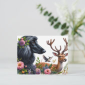 Carte postale Afghan Hound (Debout devant)