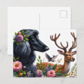 Carte postale Afghan Hound (Devant / Derrière)