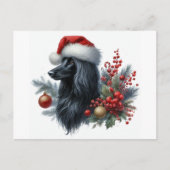 Carte postale Afghan Hound (Devant)