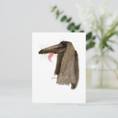 Carte Postale Afghan Hound, tony fernandes (Debout devant)
