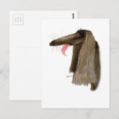 Carte Postale Afghan Hound, tony fernandes (Devant / Derrière)