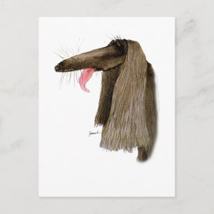 Carte Postale Afghan Hound, tony fernandes