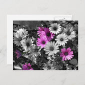 Carte postale africaine BW Floral (Devant / Derrière)