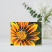 Carte postale africaine Daisy (Debout devant)