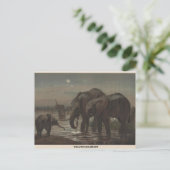 Carte postale African Elephant Zoological Sketch (Debout devant)