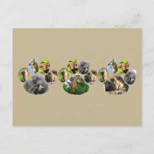 Carte Postale African Wildlife Lion Pawprint triple Collage