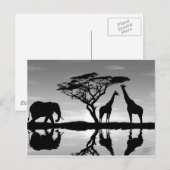 Carte Postale Afrique (Devant / Derrière)