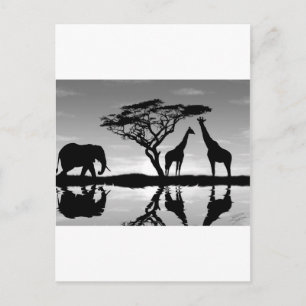 Carte Postale Afrique