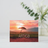 Carte Postale Afrique Coucher de soleil (Debout devant)