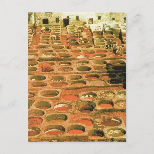 Carte Postale Afrique du Nord, Tannerie, Marrakech, Maroc (Devant)