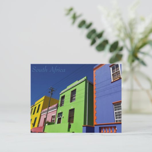 Carte Postale Afrique du Sud (Debout devant)