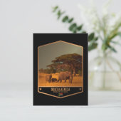 Carte Postale Afrique du Sud (Debout devant)