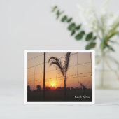 Carte Postale Afrique du Sud (Debout devant)