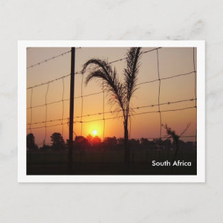 Carte Postale Afrique du Sud