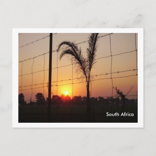 Carte Postale Afrique du Sud (Devant)