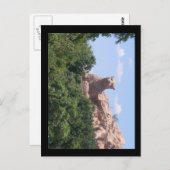 Carte Postale afrique du sud (Devant / Derrière)