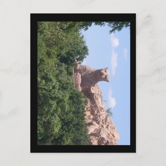 Carte Postale afrique du sud (Devant)