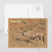 Carte Postale Afrique du Sud (Devant / Derrière)