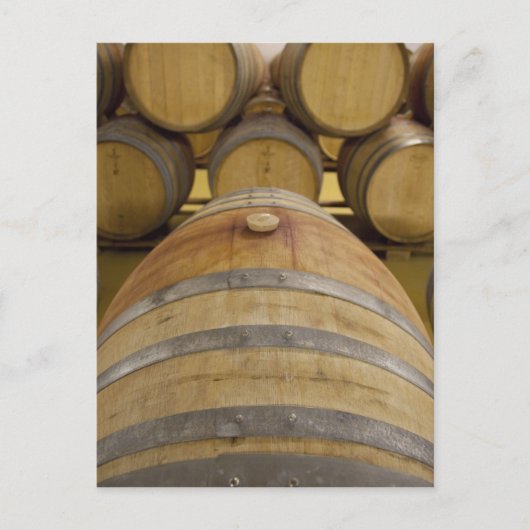 Carte Postale Afrique du Sud, Cap. la région viticole de Stellen (Devant)