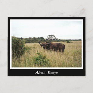 Carte Postale Afrique Kenya animaux sauvages