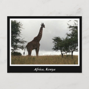 Carte Postale Afrique Kenya animaux sauvages