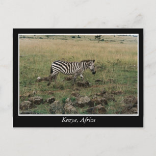 Carte Postale Afrique Kenya animaux sauvages