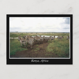 Carte Postale Afrique Kenya animaux sauvages
