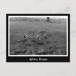 Carte Postale Afrique Kenya animaux sauvages