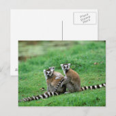 Carte Postale Afrique, Madagascar, Antananarivo, Tsimbazaza (Devant / Derrière)