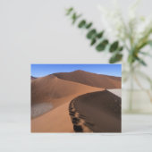 Carte Postale Afrique, Namibie, Parc national du Namib Naukluft, (Debout devant)