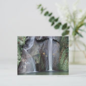 Carte Postale Afrique, Ouganda, Bwindi Forêt tropicale impénétra (Debout devant)