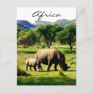 Carte Postale afrique rhinocéros