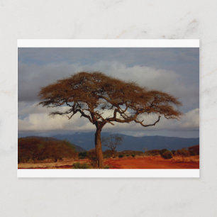 Carte Postale Afrique Safari Nature Savanna Destiny Personnalise