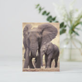 Carte Postale Afrique, Tanzanie, Parc national de Tarangire. 2 (Debout devant)