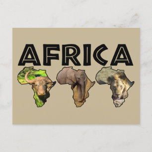 Carte postale Afrique Wildlife Continent Trio Holi