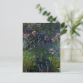 Carte Postale Agapanthus (Debout devant)