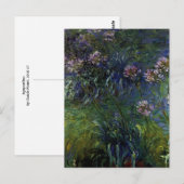 Carte Postale Agapanthus (Devant / Derrière)