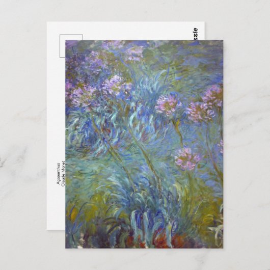 Carte postale Agapanthus de Claude Monet (Devant / Derrière)