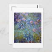 Carte Postale Agapanthus, Monet (Devant / Derrière)