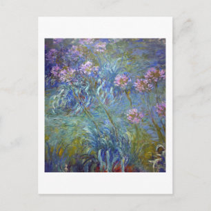 Carte Postale Agapanthus, Monet