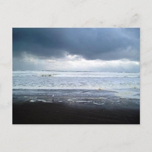 Carte postale Agate Beach Oregon (Devant)
