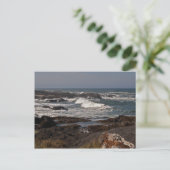 Carte Postale Agate Cove, Oregon (Debout devant)
