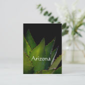 Carte Postale Agave éclairage Arizona (Debout devant)