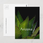 Carte Postale Agave éclairage Arizona (Devant / Derrière)